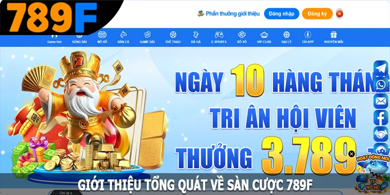 Giới thiệu tổng quát về sàn 789F