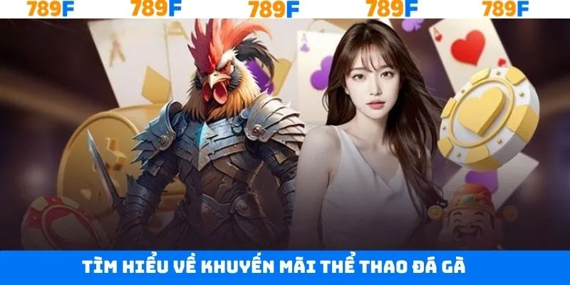 Tổng quan về khuyến mãi thể thao đá gà trên 789F