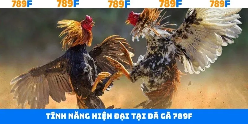 Công nghệ live chọi kê hiện đại